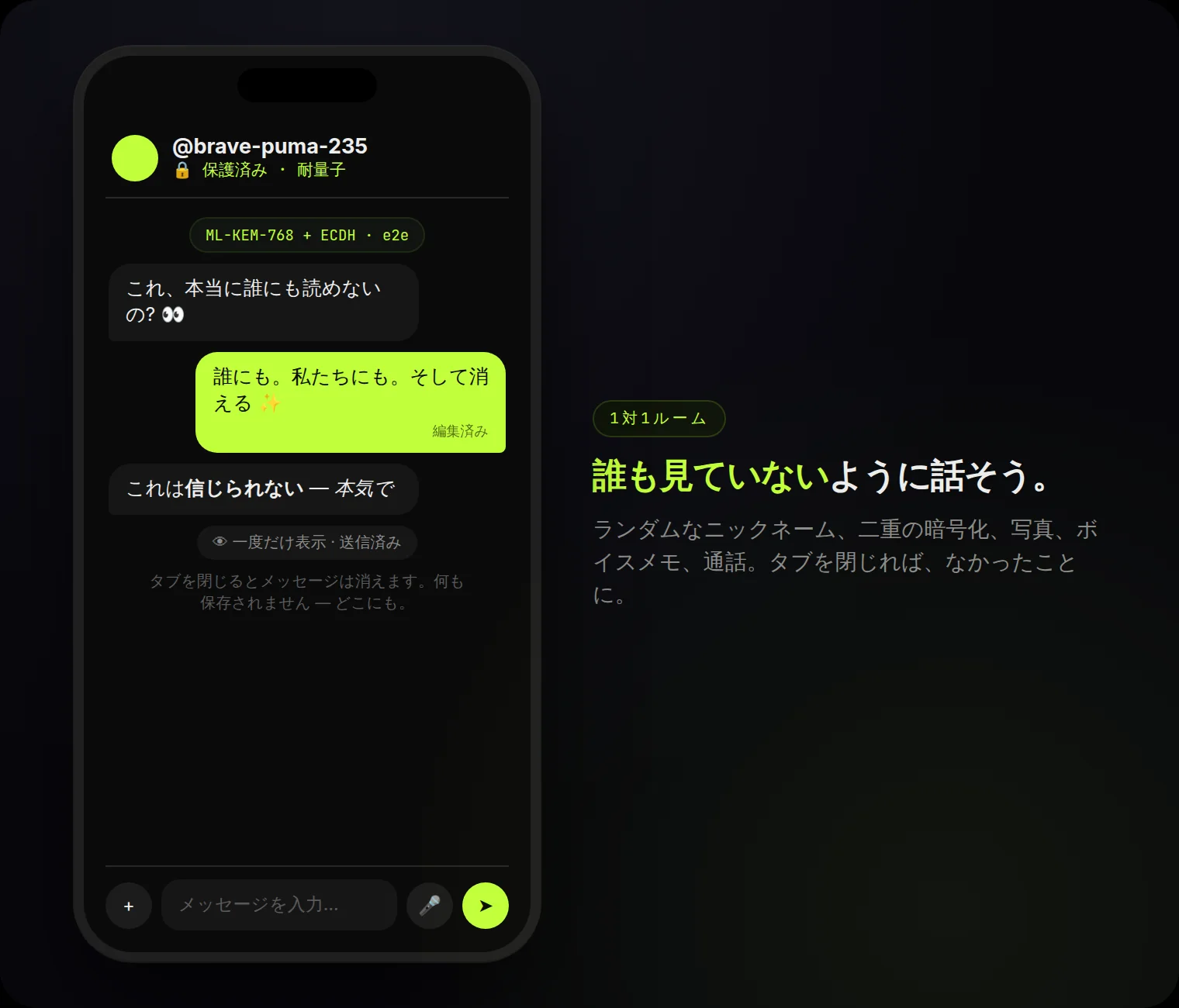 ルームの中:ランダムなニックネーム、耐量子バッジ、編集済みメッセージ、一度だけ表示。