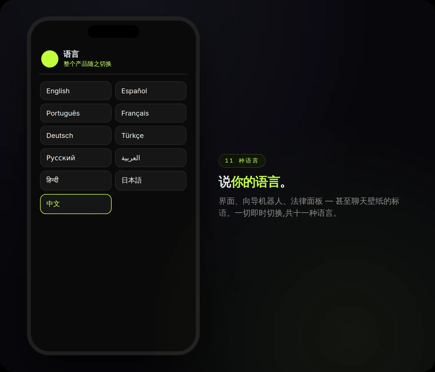 十一种语言 — 整个产品即时切换。